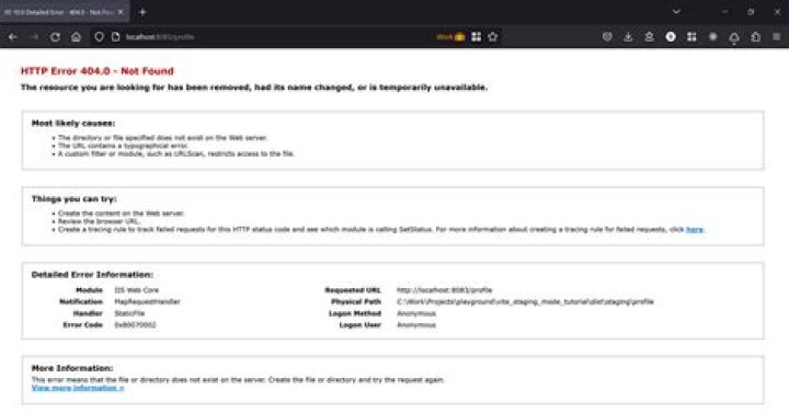 Page not found in IIS, but it's there
