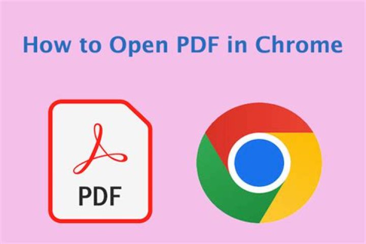 PDF in Google Chrome, showing visual state