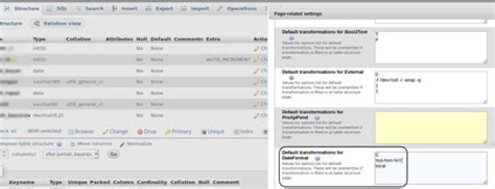phpmyadmin Default transformations for DateFormat does not change date format