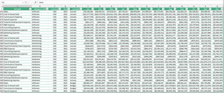 Pic of excel file