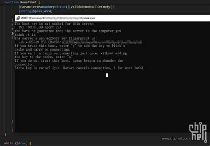 plink.exe - force timeout for remote operations