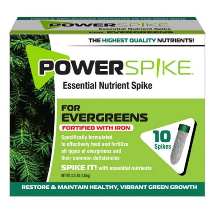 Power Spike Photo