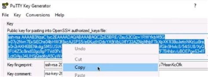 PuTTY private key entry