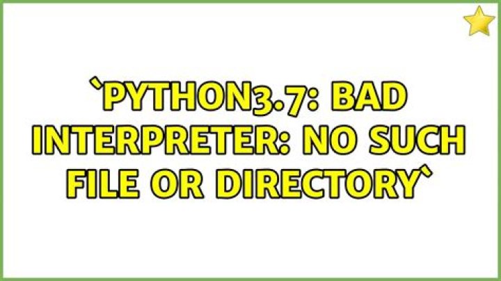 `python3.7: bad interpreter: No such file or directory`