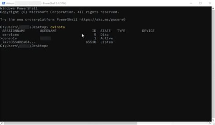 Qwinsta Console