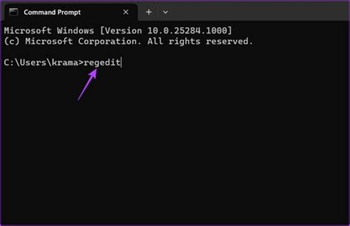 Regedit Command Definition