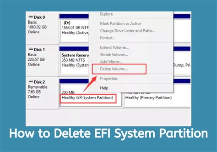 Remove EFI System Partition [duplicate]