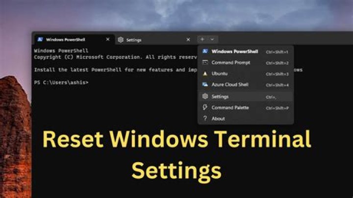 Restore Default Terminal Settings Profiles