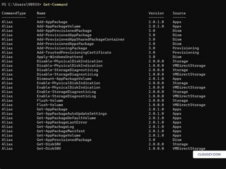 Result of running thepowershell command