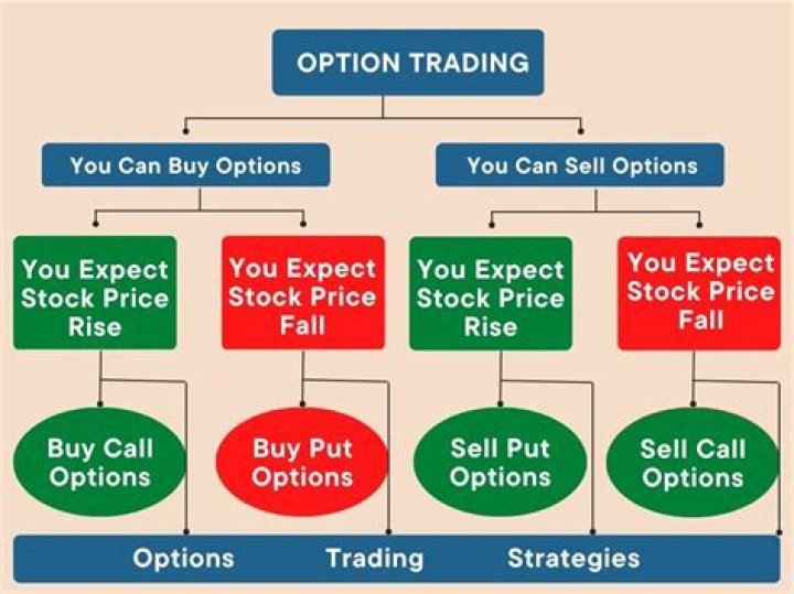 review all the options