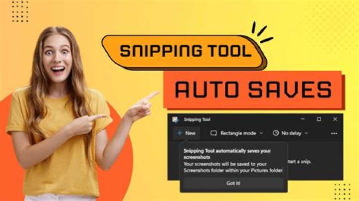Save Snip Setting