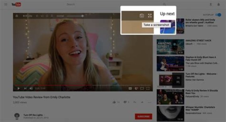 Screenshot (from the video)