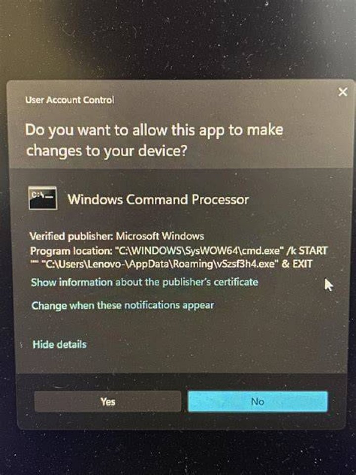 screenshot of cmd.exe issue