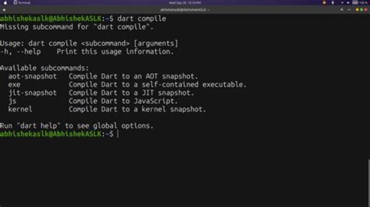 Screenshot of DART