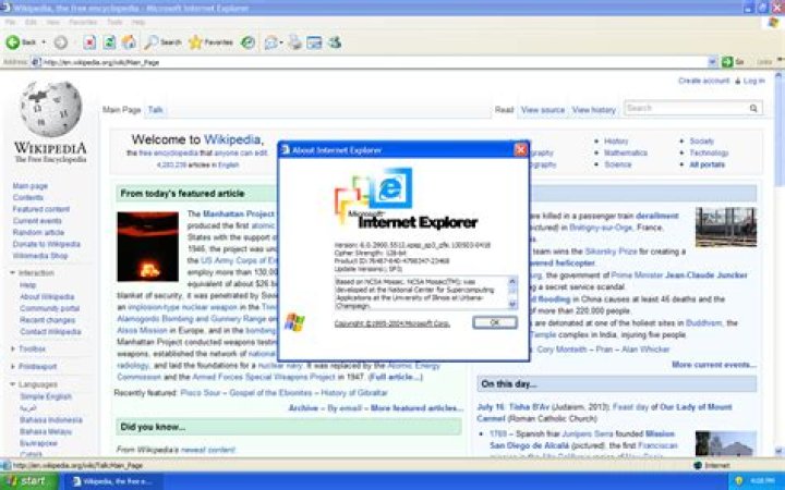 Screenshot of Internet Explorer showing the Windows built-in prompt