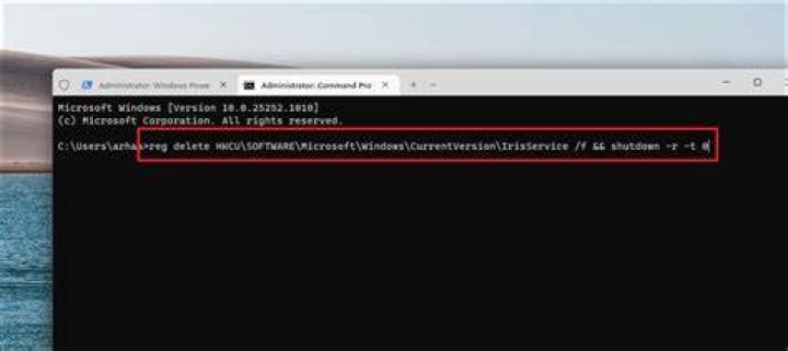 Screenshot of missing and of disabled Change Picture button
