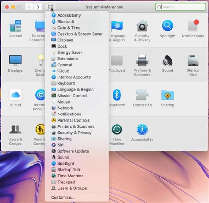 Screenshot of preferences window