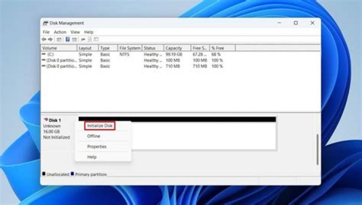 Screenshot of system-reserved disk