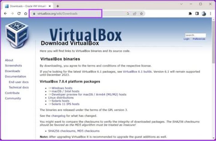 Screenshot of VirtualBox v5.1.6 toolbar: Show button