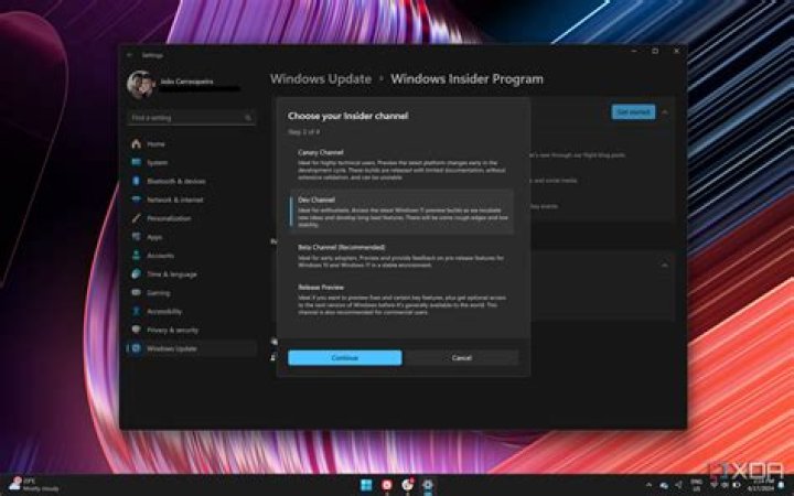 screenshot: windows insider program