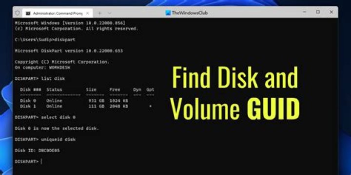 Select disk and volume to set volume ID.