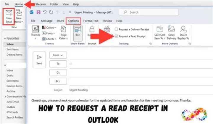 Select Request Receipts on the Options ribbon