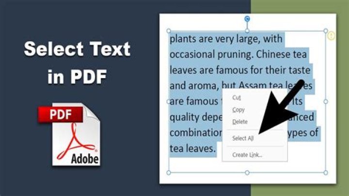 Selecting ALL text in a PDF file
