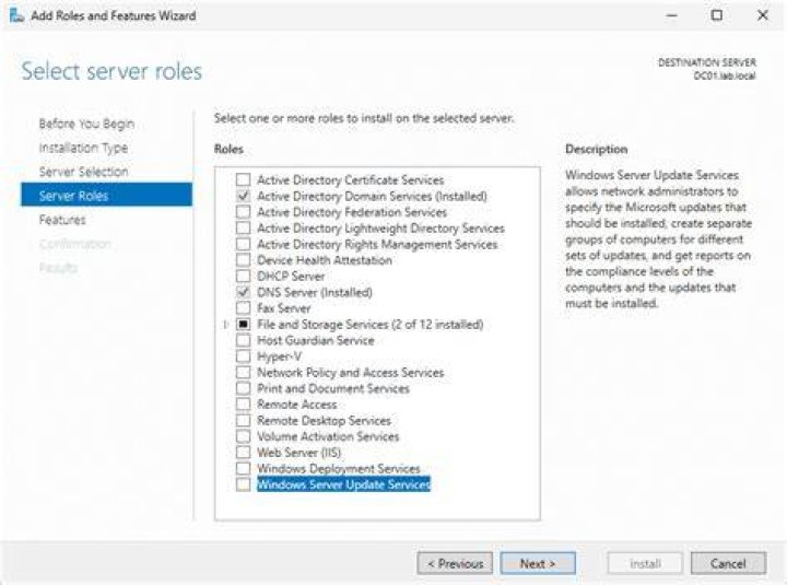 Server Roles selection on Server Management