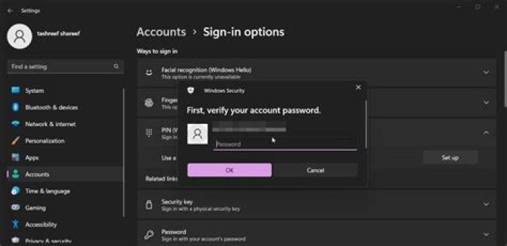 Set up PIN dialog box with 'Use letters and symbols' ticked
