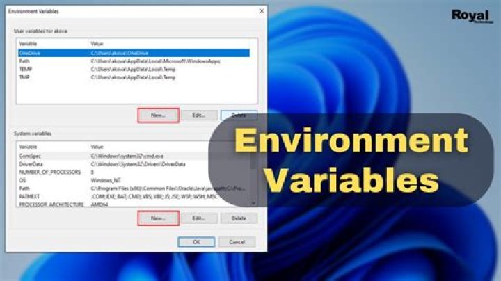 Setting and getting Windows environment variables from the command prompt?