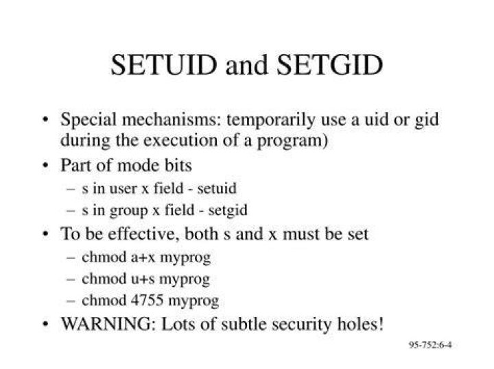 Setuid and setgid not working