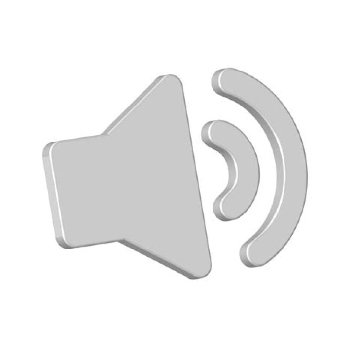 Sound icon - 2010