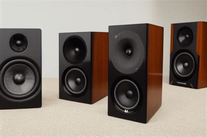 Speaker image