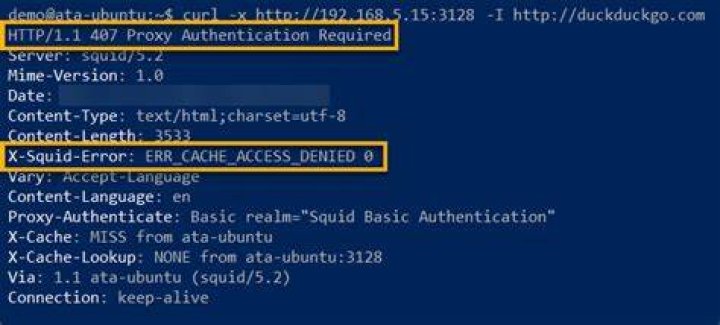 Squid cache access denied