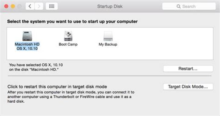 Startup Disk Screenshot