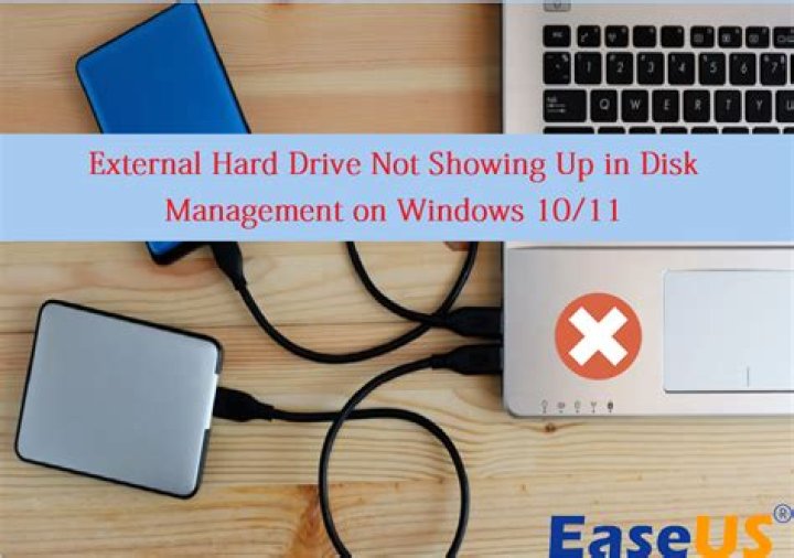 Stopping Microsoft Search from eating my hard drive