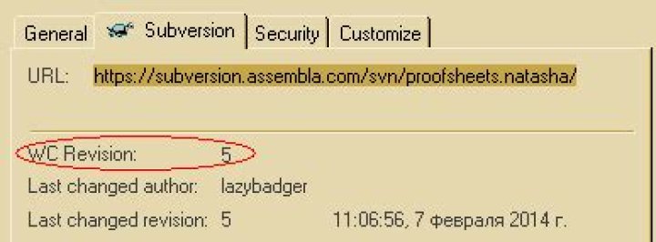 Subversion Tab