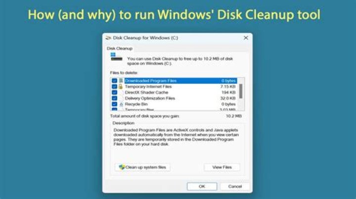 supposed options for Disk Cleanup of system files