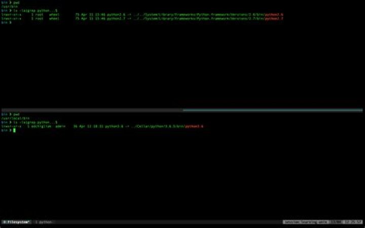 Terminal screenshot of Python2 and Python3 paths