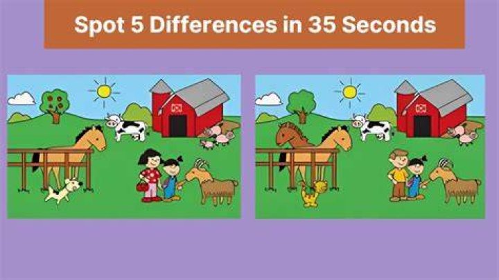 The differences