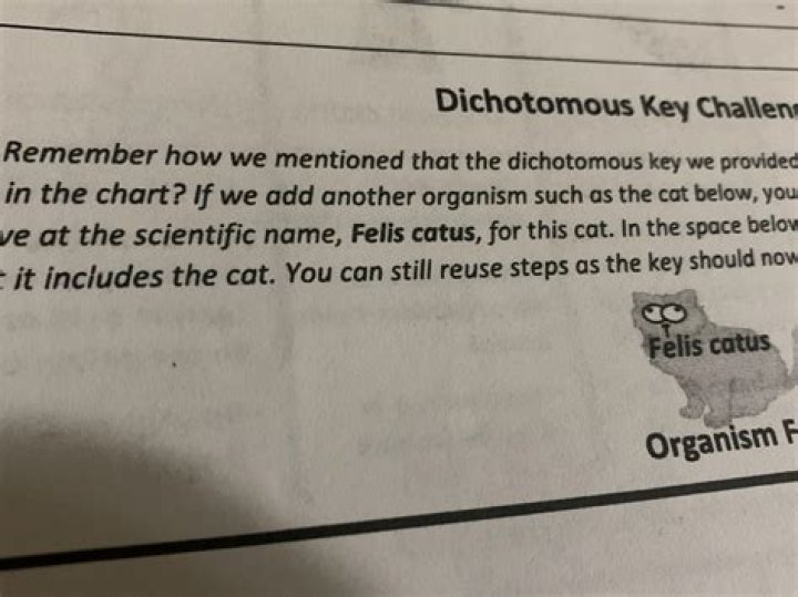 the mentioned key