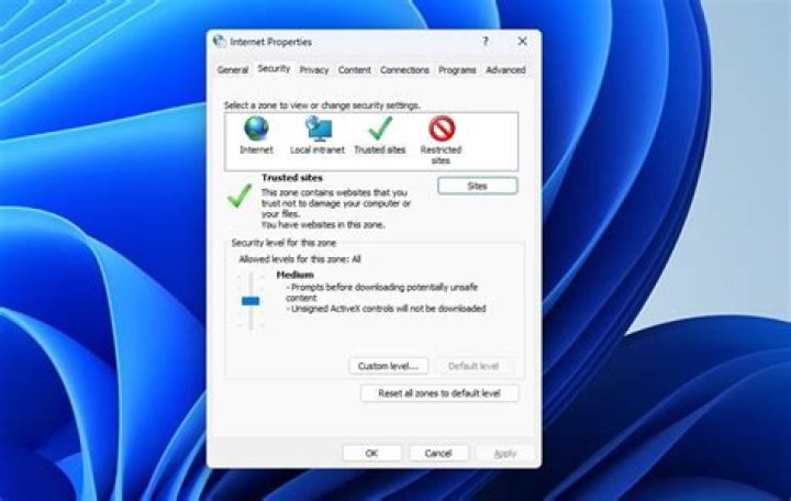 Trusted sites window