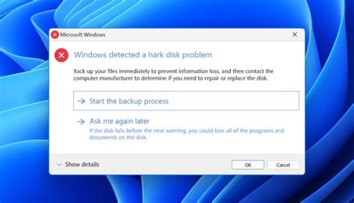 Ubuntu server hardisk read-only Detected IO errors while flushing file data on sdc-8