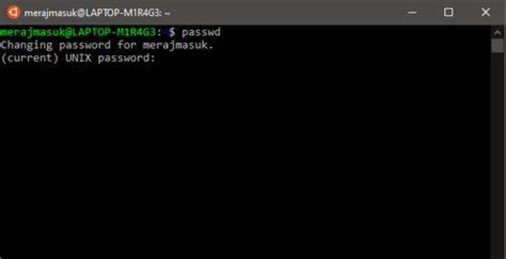 Ubuntu terminal not taking keyboard input while asking for user password
