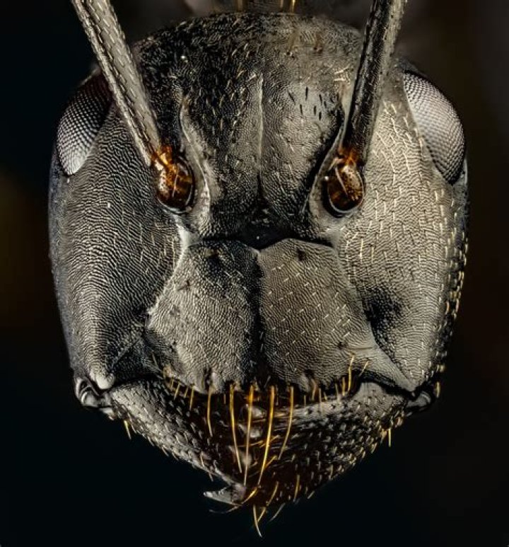 up close