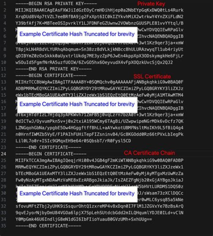 view all certs in a PEM cert file (full cert chain) with openssl or another command