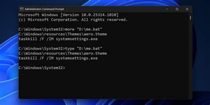 View the content of a .bat file through command prompt