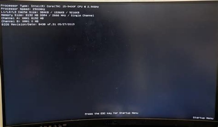 VirtualBox guest doesn't boot up. I only get a black screen
