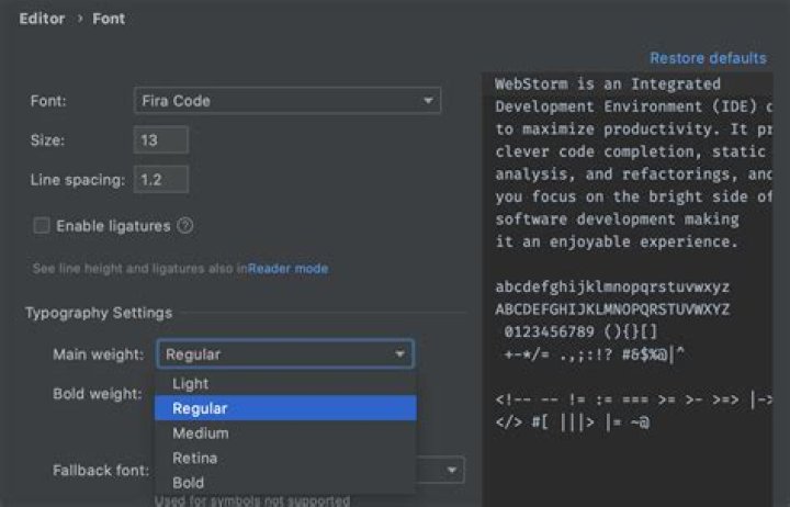 WebStorm screenshot with fixed font
