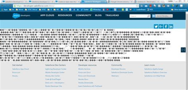 Weird Characters in Google Chrome